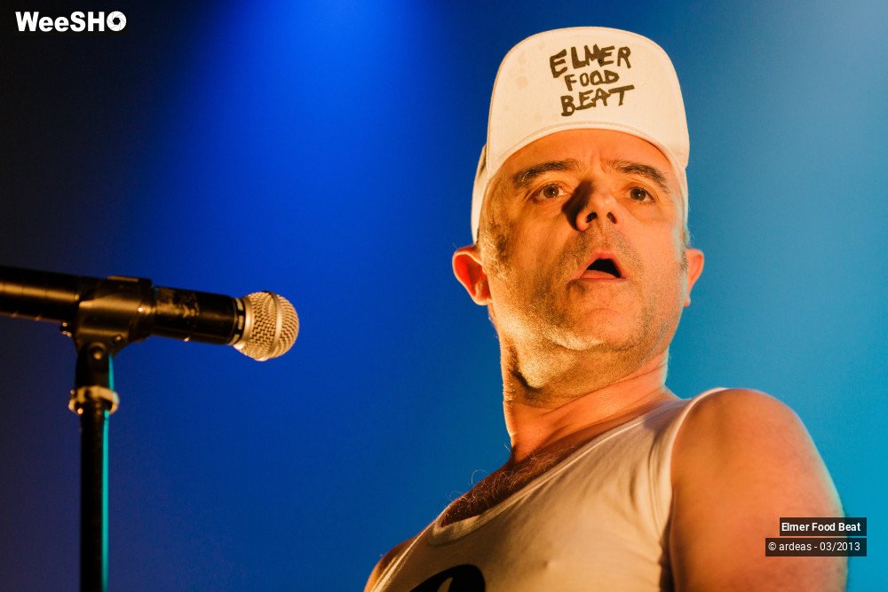 8/50 photos du spectacle Elmer Food Beat