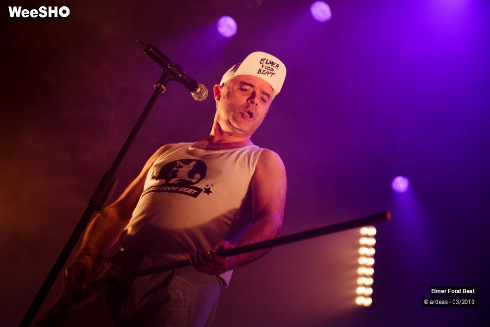 11/50 photos du spectacle Elmer Food Beat
