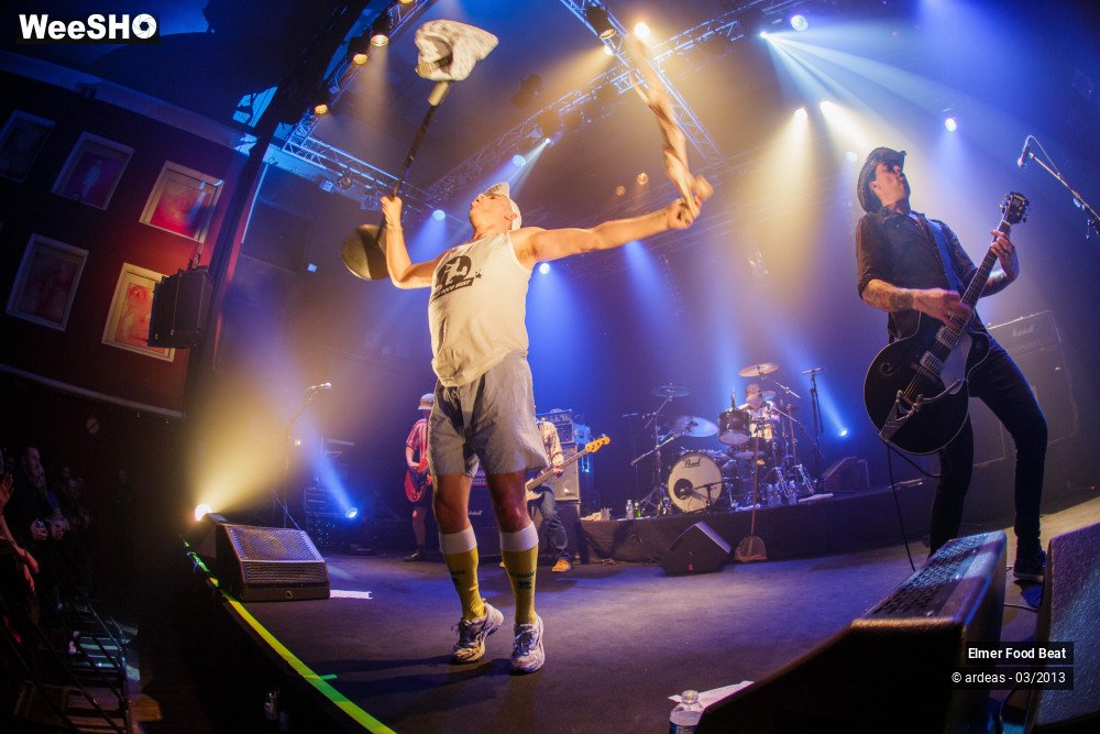 13/50 photos du spectacle Elmer Food Beat