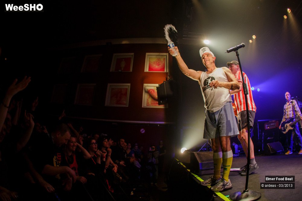 14/50 photos du spectacle Elmer Food Beat