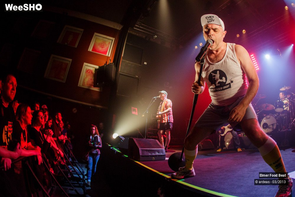 15/50 photos du spectacle Elmer Food Beat