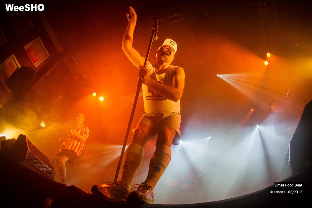 16/50 photos du spectacle Elmer Food Beat