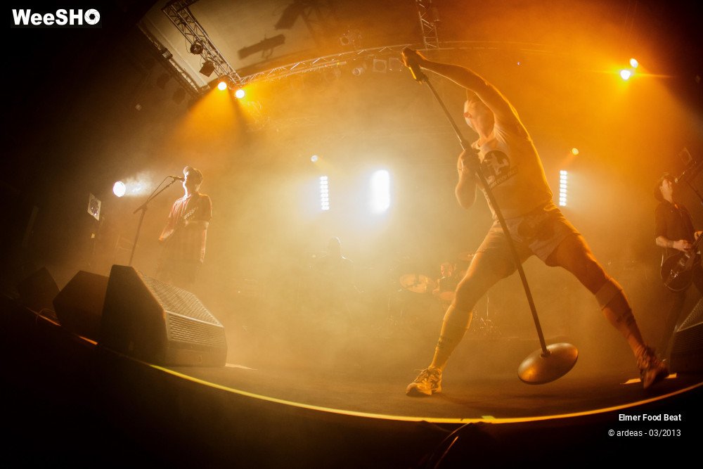 17/50 photos du spectacle Elmer Food Beat