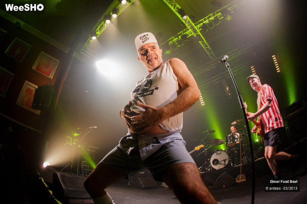 19/50 photos du spectacle Elmer Food Beat