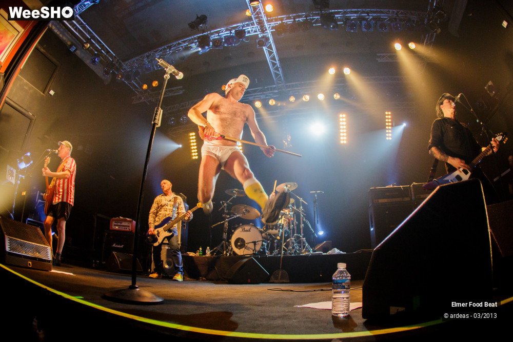 23/50 photos du spectacle Elmer Food Beat