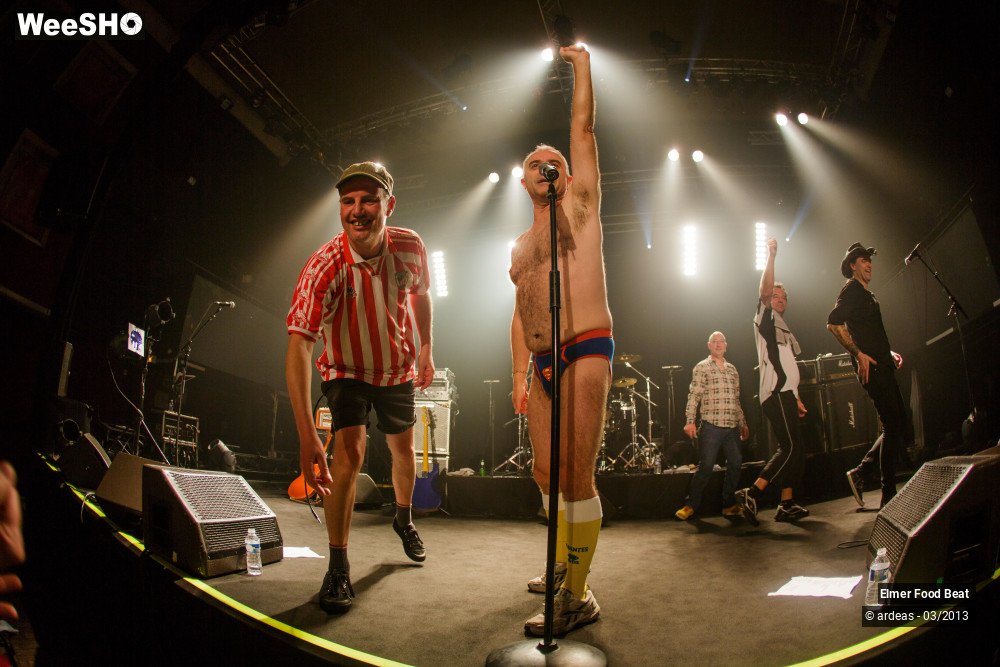 25/50 photos du spectacle Elmer Food Beat