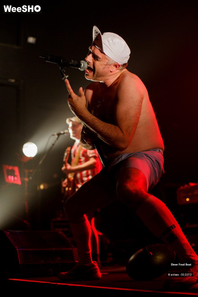 26/50 photos du spectacle Elmer Food Beat