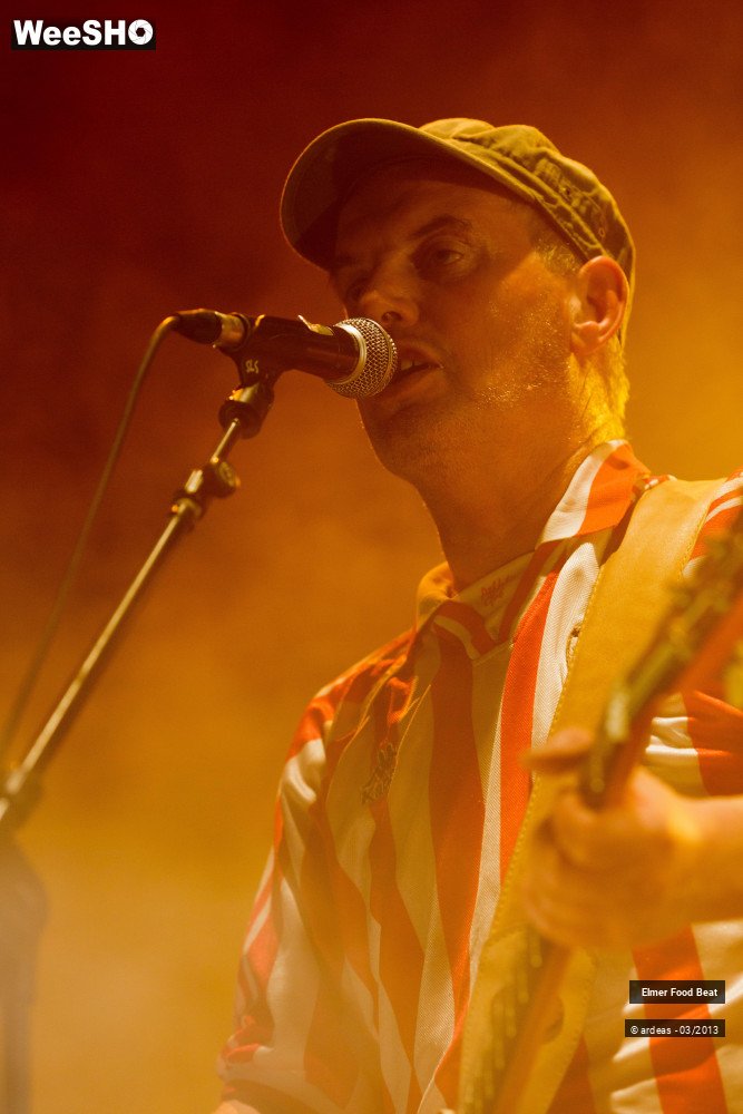 27/50 photos du spectacle Elmer Food Beat