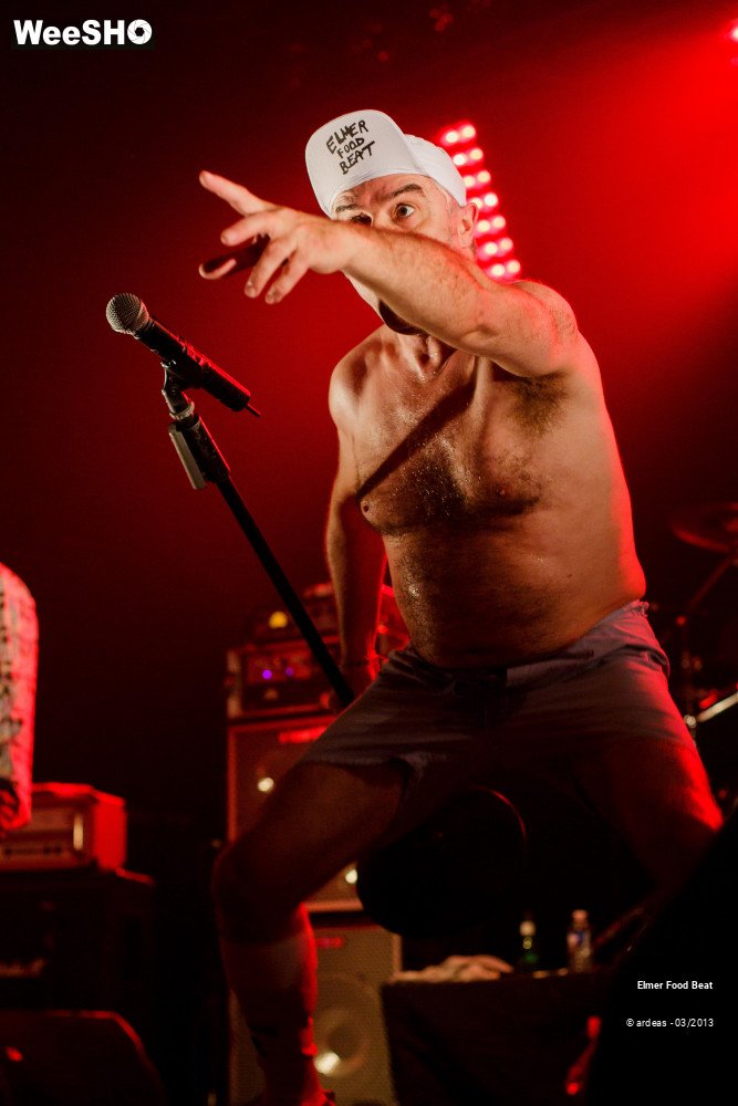 30/50 photos du spectacle Elmer Food Beat