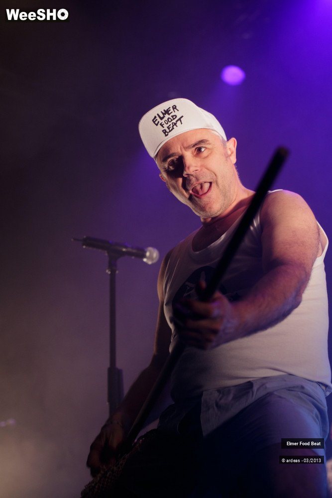 31/50 photos du spectacle Elmer Food Beat