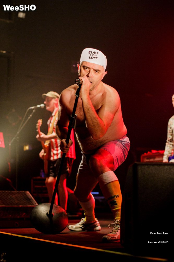 32/50 photos du spectacle Elmer Food Beat