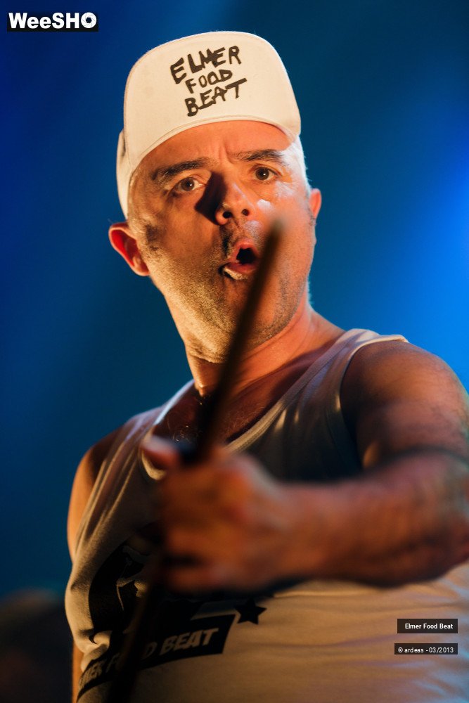 33/50 photos du spectacle Elmer Food Beat