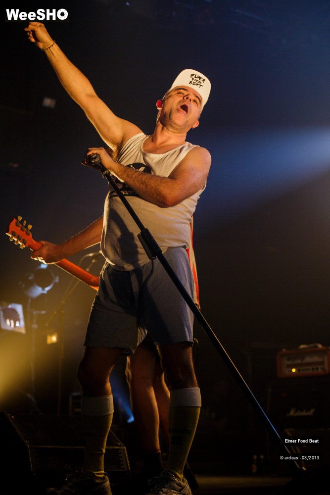34/50 photos du spectacle Elmer Food Beat