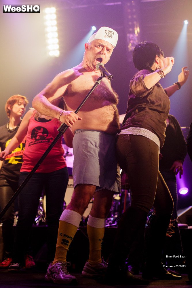 35/50 photos du spectacle Elmer Food Beat