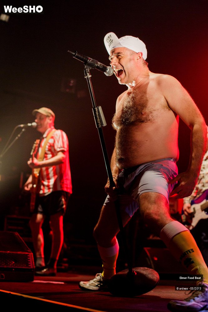 36/50 photos du spectacle Elmer Food Beat