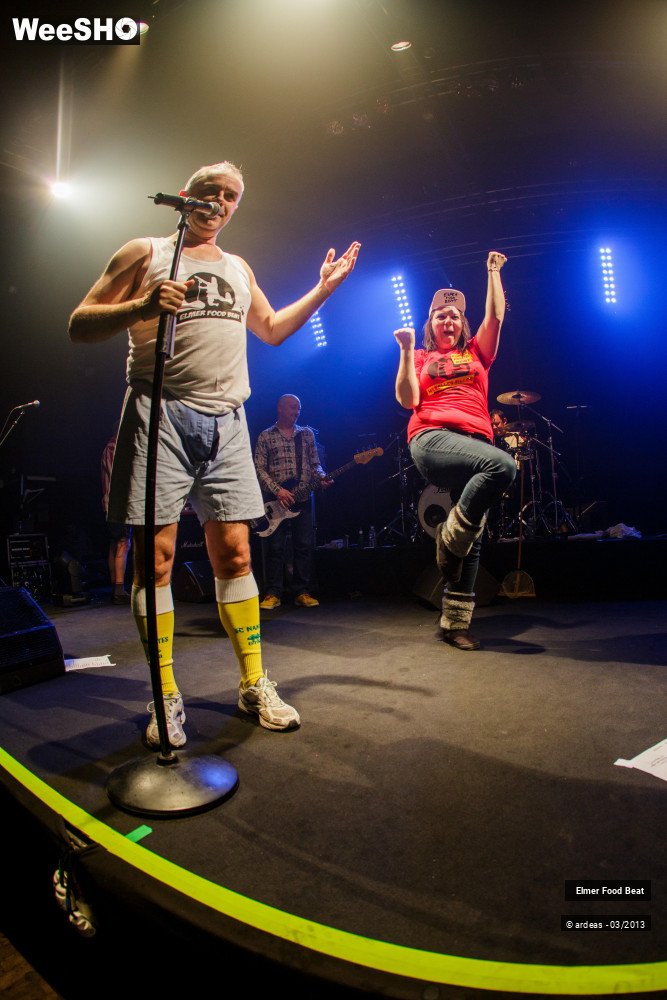 37/50 photos du spectacle Elmer Food Beat