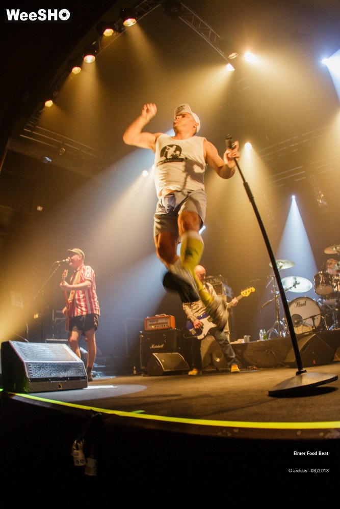 38/50 photos du spectacle Elmer Food Beat