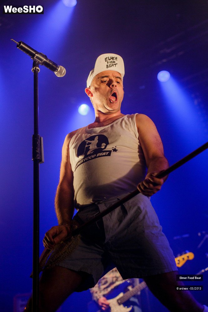 41/50 photos du spectacle Elmer Food Beat
