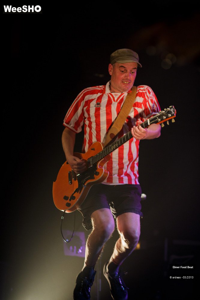44/50 photos du spectacle Elmer Food Beat