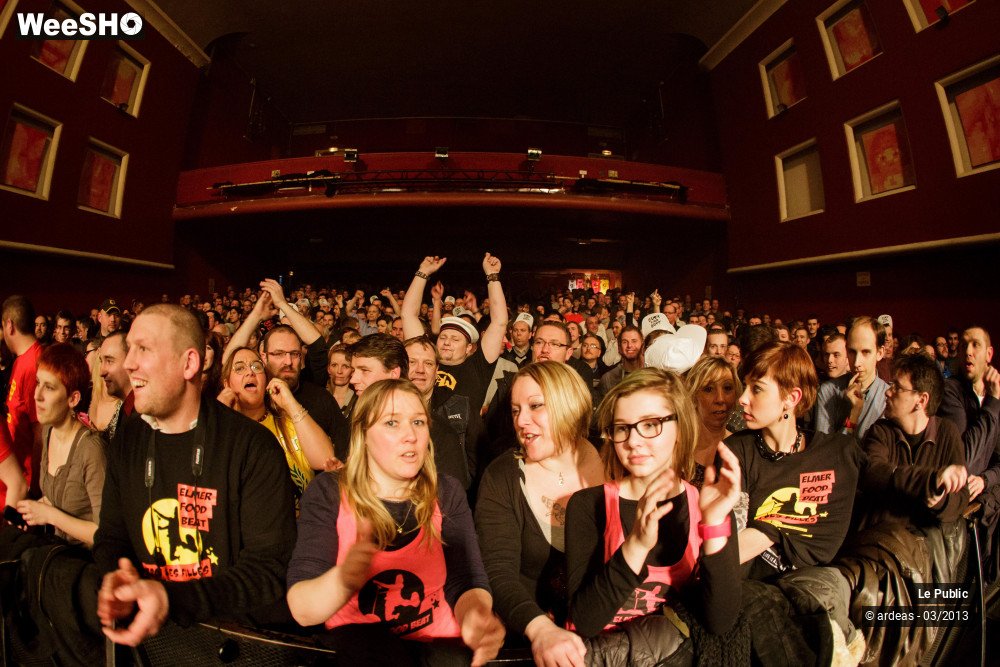 11/31 photos du spectacle Elmer Food Beat Ambiance