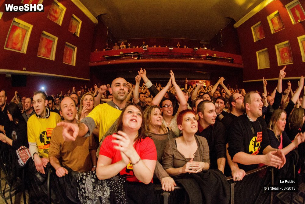 13/31 photos du spectacle Elmer Food Beat Ambiance