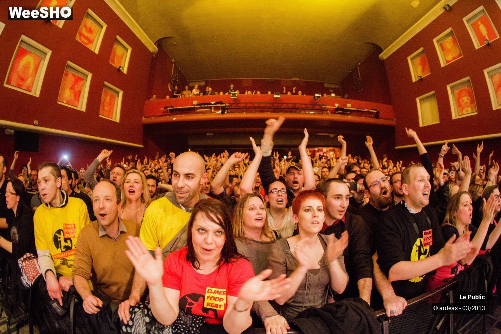 15/31 photos du spectacle Elmer Food Beat Ambiance