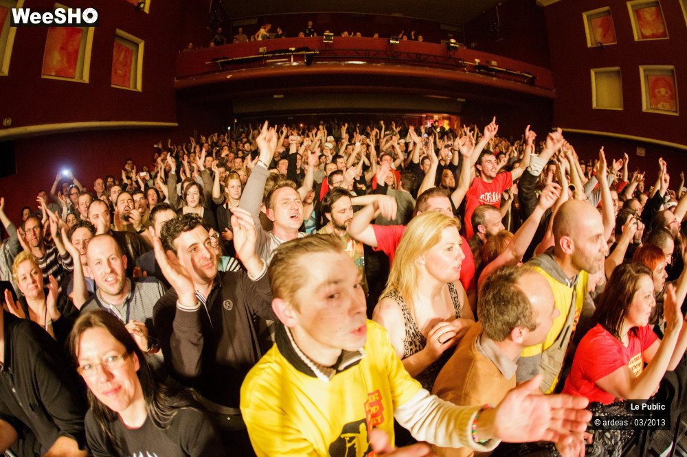 18/31 photos du spectacle Elmer Food Beat Ambiance