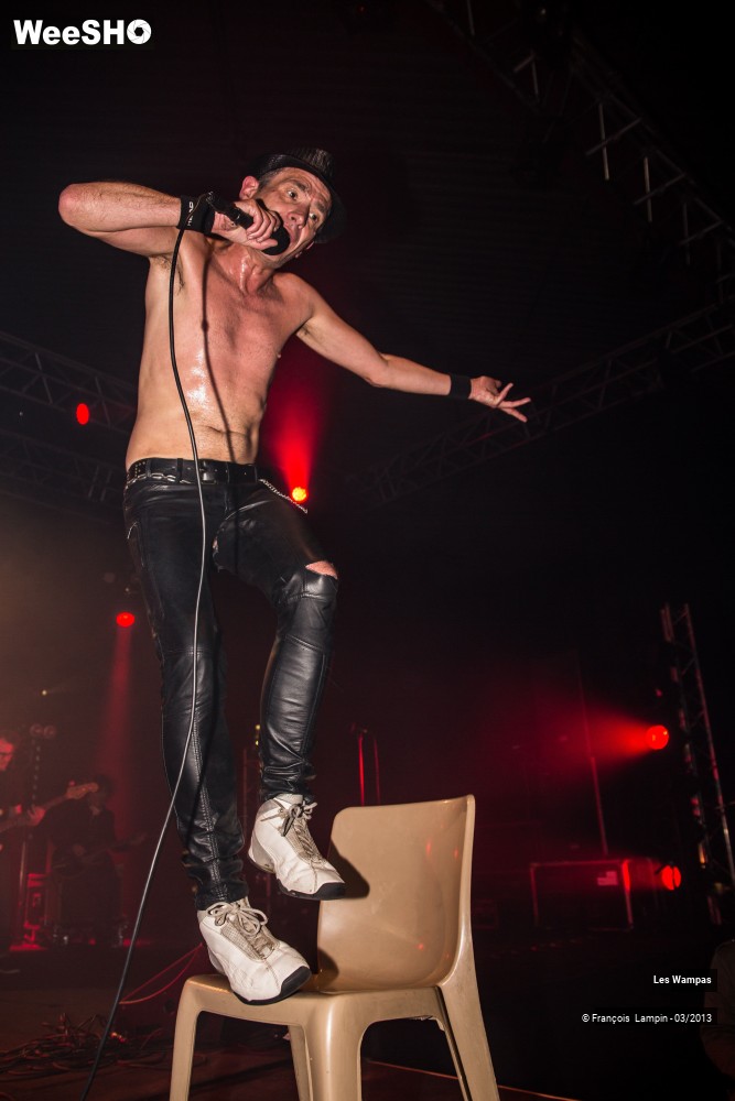 2/50 photos du spectacle Les Wampas