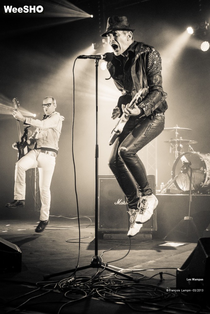 5/50 photos du spectacle Les Wampas