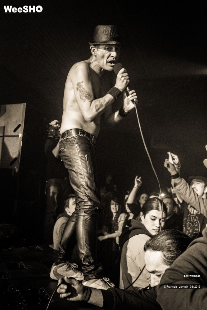 6/50 photos du spectacle Les Wampas