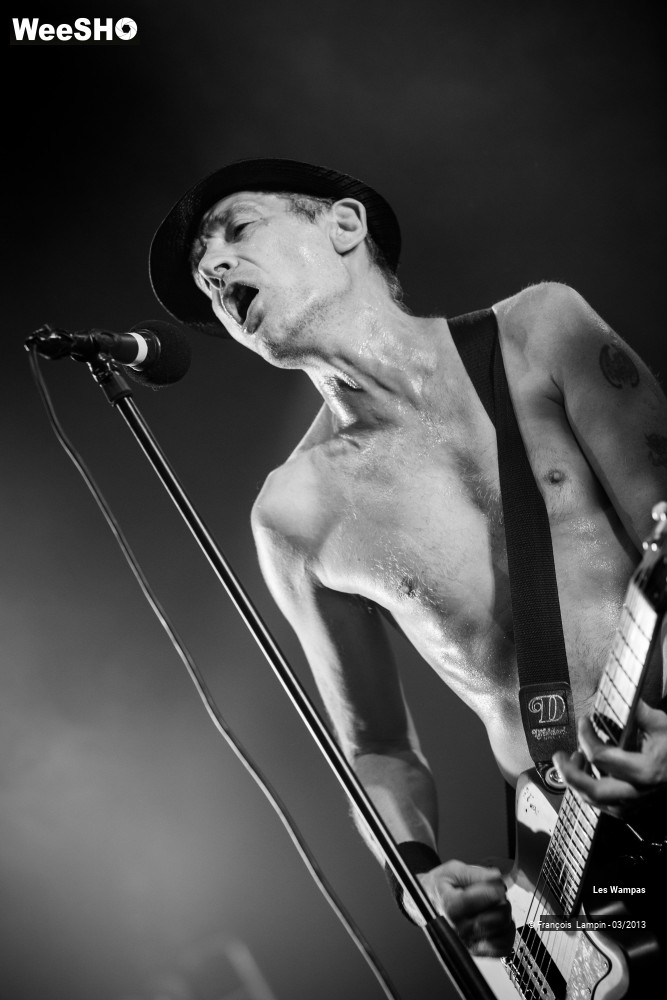 7/50 photos du spectacle Les Wampas