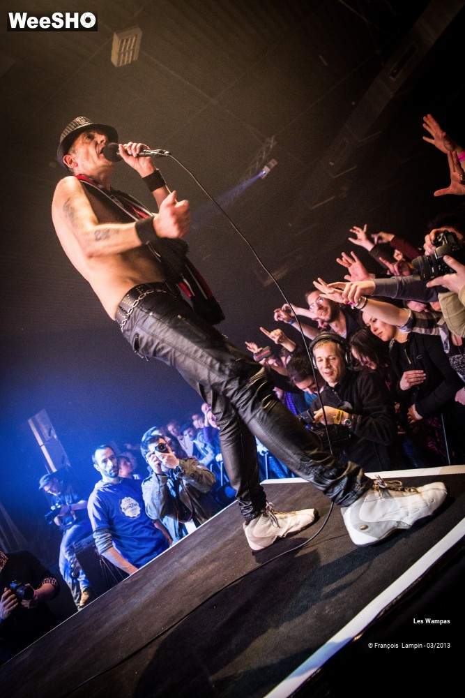 10/50 photos du spectacle Les Wampas