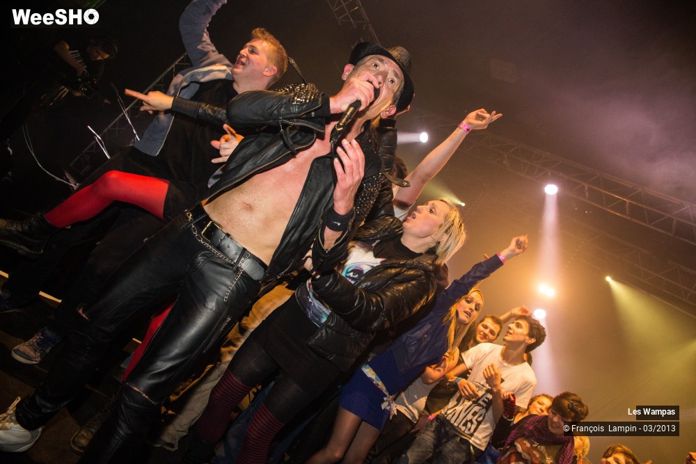 11/50 photos du spectacle Les Wampas