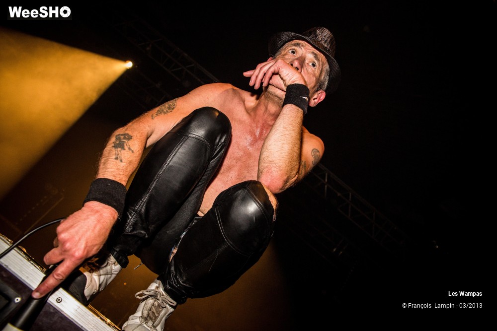 12/50 photos du spectacle Les Wampas