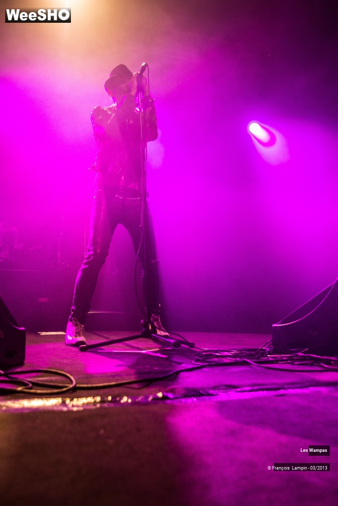 15/50 photos du spectacle Les Wampas