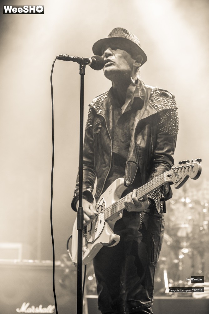 16/50 photos du spectacle Les Wampas