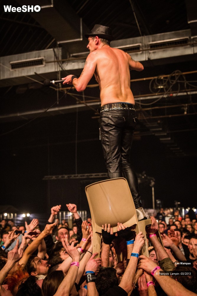 17/50 photos du spectacle Les Wampas