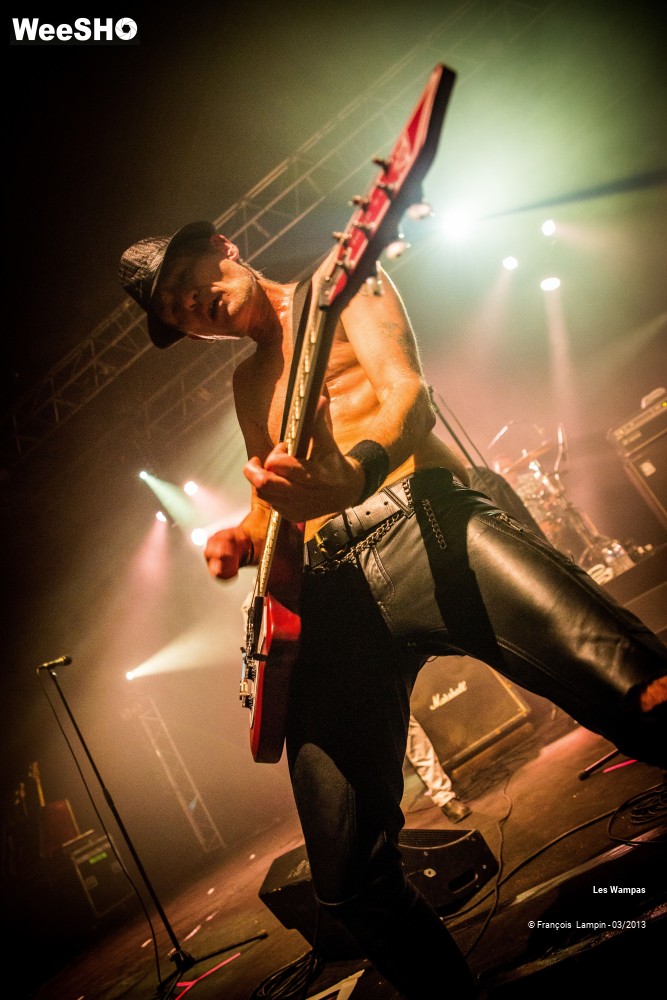 18/50 photos du spectacle Les Wampas