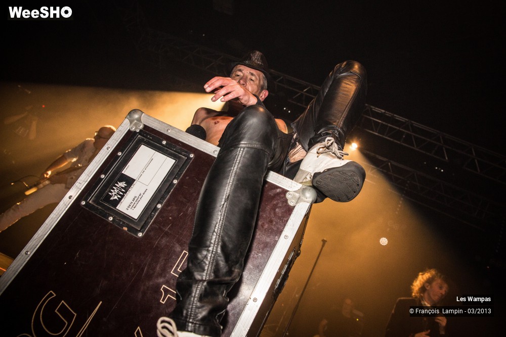 19/50 photos du spectacle Les Wampas