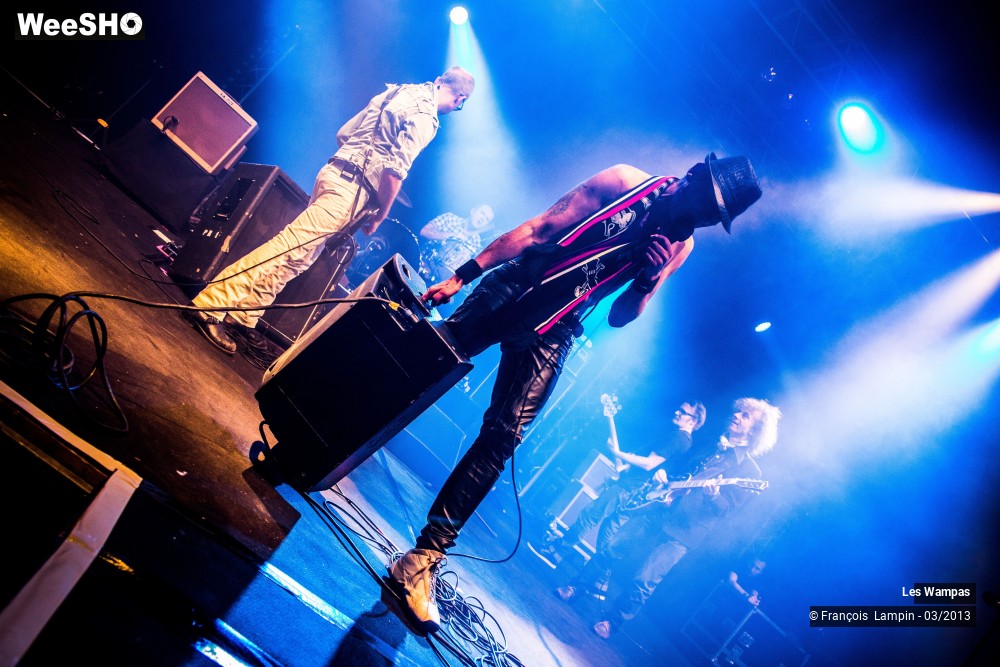 20/50 photos du spectacle Les Wampas