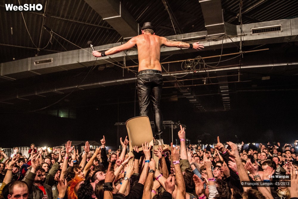 21/50 photos du spectacle Les Wampas