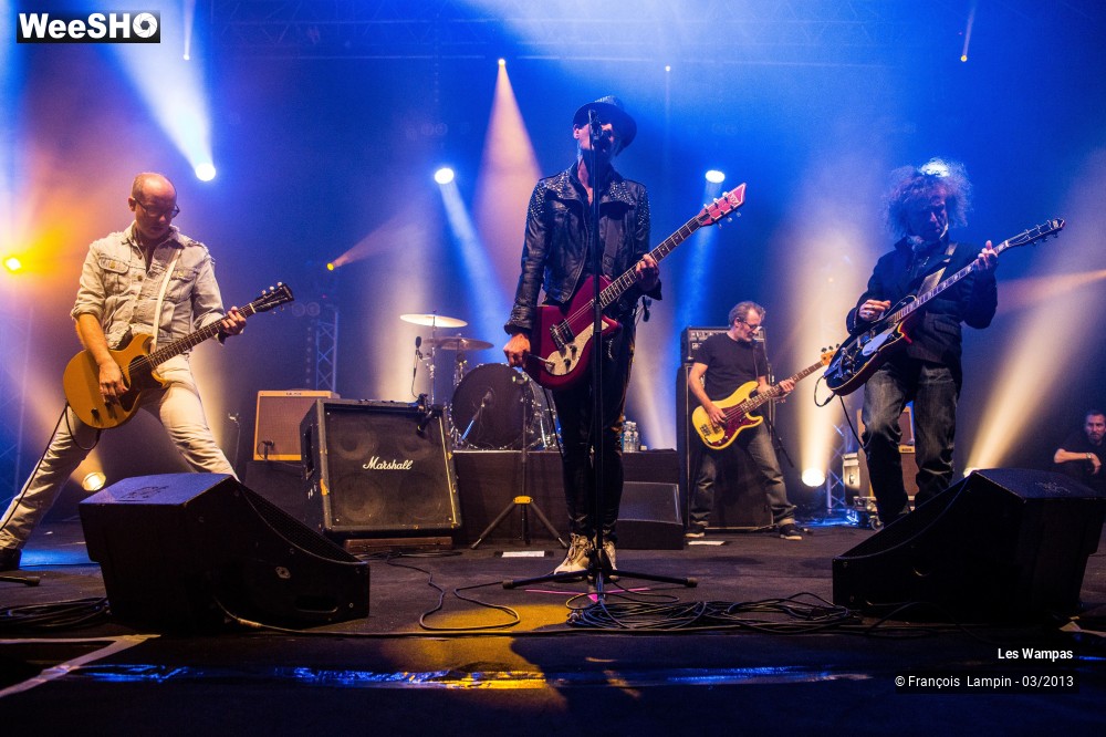 22/50 photos du spectacle Les Wampas