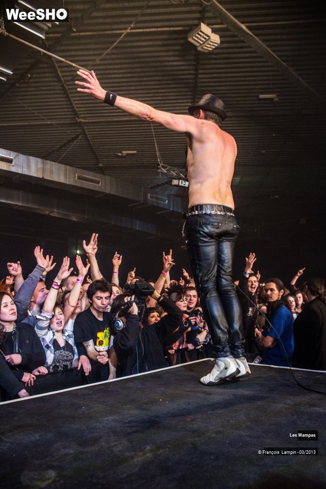 25/50 photos du spectacle Les Wampas