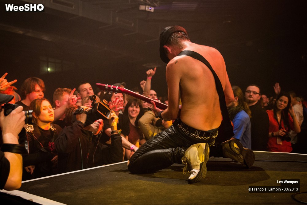 28/50 photos du spectacle Les Wampas