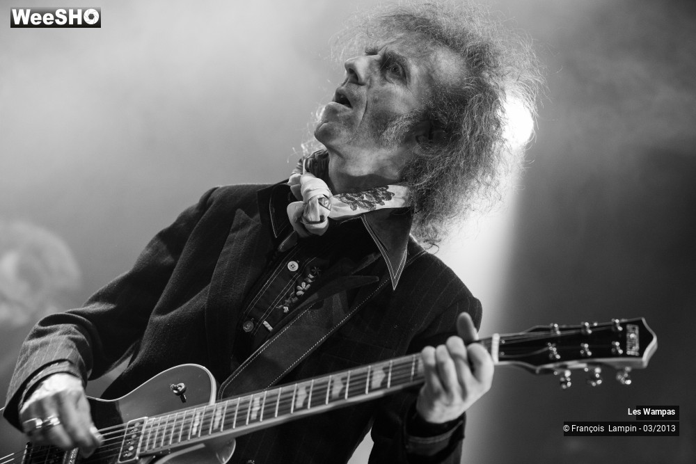 29/50 photos du spectacle Les Wampas