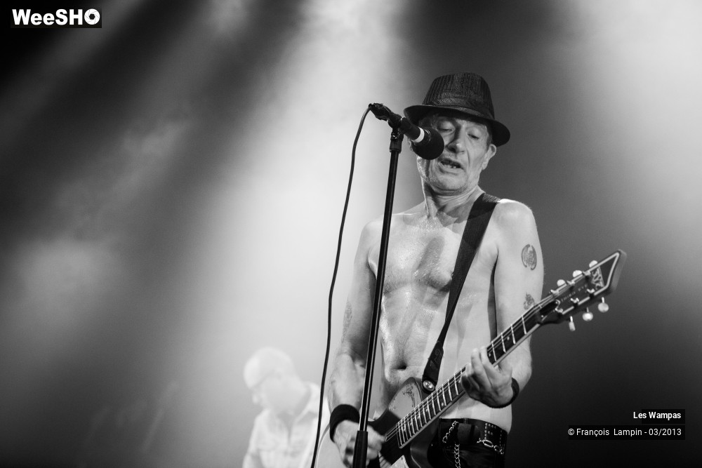 30/50 photos du spectacle Les Wampas