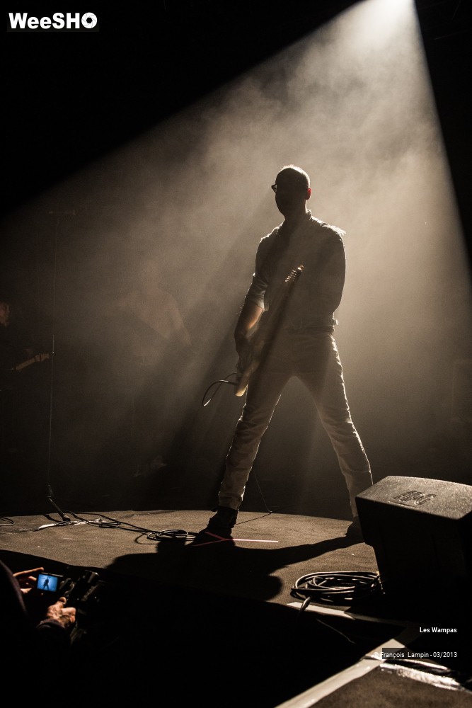 32/50 photos du spectacle Les Wampas