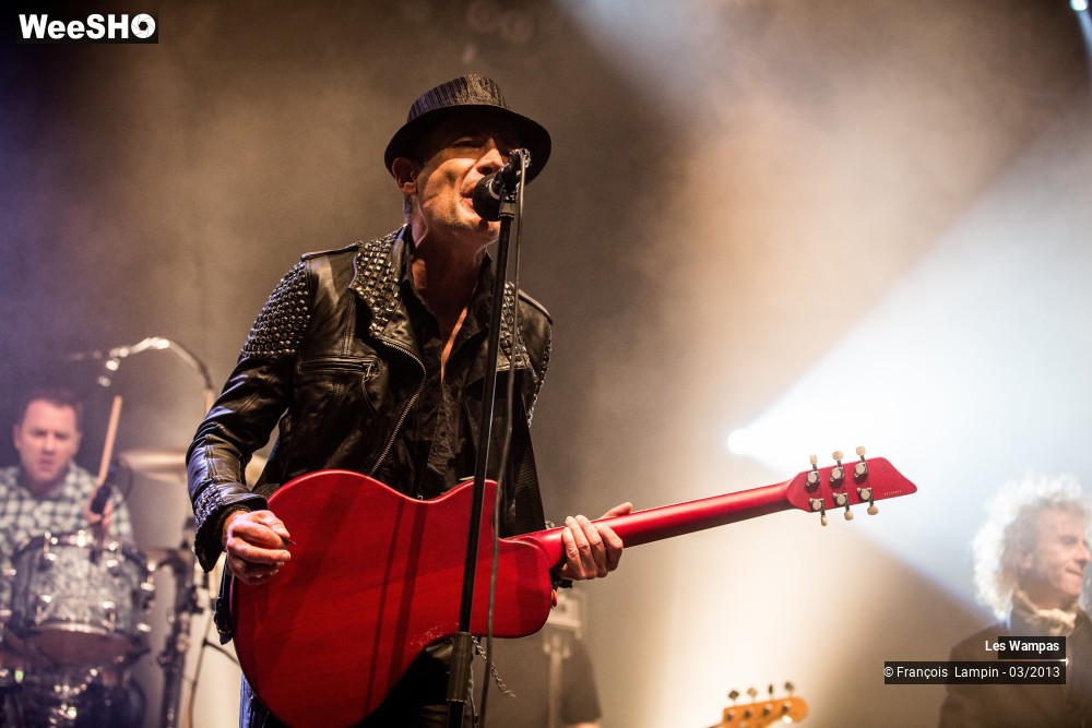 34/50 photos du spectacle Les Wampas