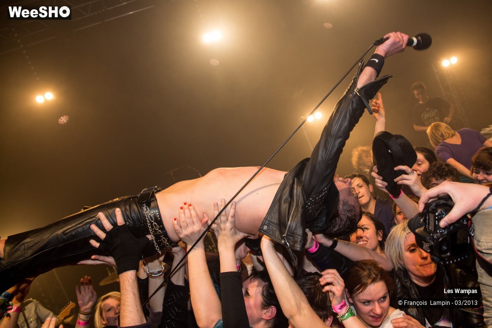 36/50 photos du spectacle Les Wampas