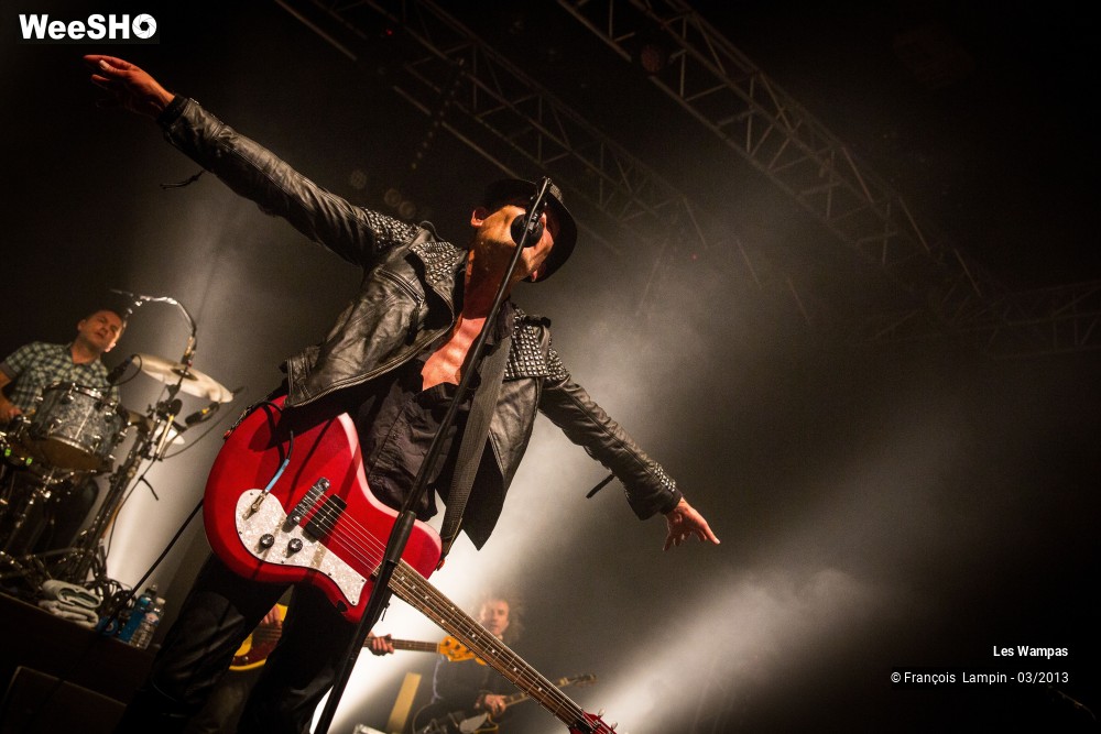 37/50 photos du spectacle Les Wampas